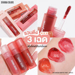 Load image into Gallery viewer, Matte Tint long lasting natural smooth lip color