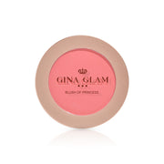 Gina Glam Blush Soft Matte Long Lasting Blusher